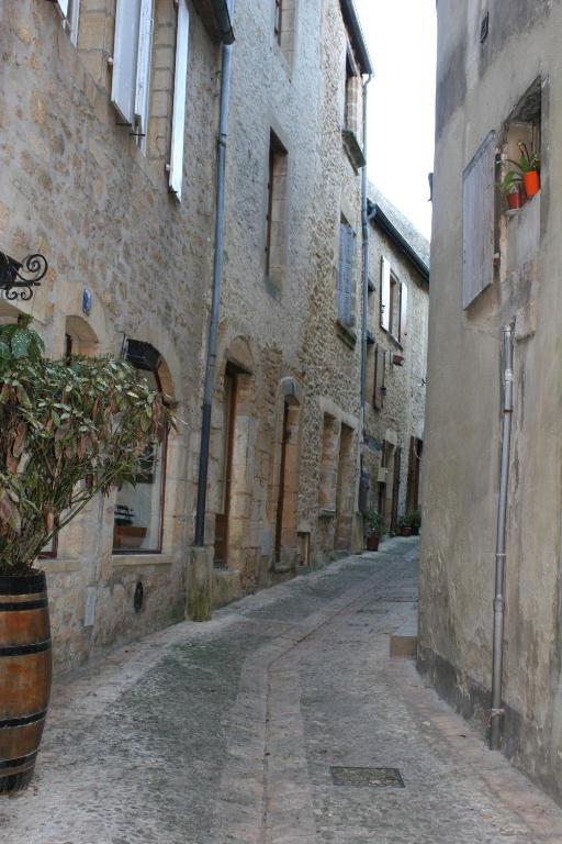 In Luxury Rentals, Medieval Center - Maison Fenelon Apartment